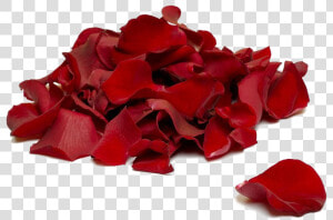 Falling Rose Petals Transparent Background   Rose Petals  HD Png Download