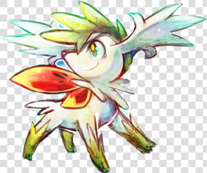  shaymin  legendary  pokemon   Cartoon  HD Png Download