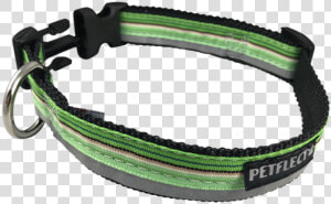 Green Horizontally Striped Dog Collar   Bracelet  HD Png Download