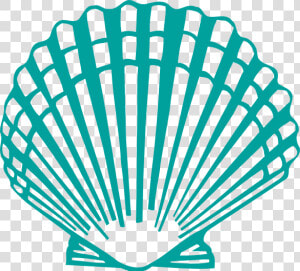 Scallop Shell Clip Art   Clam Shell Clipart Png  Transparent Png