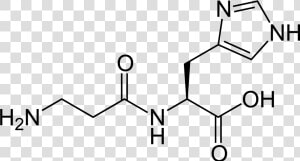 Carnosine 2d Skeletal   Structure Of An Antioxidant  HD Png Download