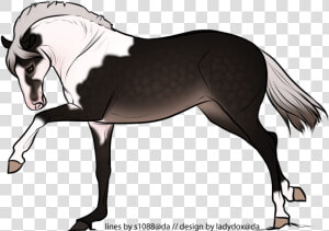 Stallion  HD Png Download