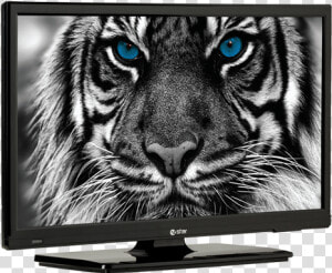 32 Estar Hd Led Tv  HD Png Download