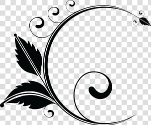 Transparent Floral Line Png   Floral Designs Black Png  Png Download