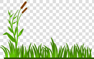 Grass  Lawn  Green  Cat O   Clipart Grass Border  HD Png Download