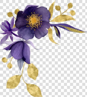 Colorado Blue Columbine  HD Png Download