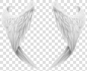 White Wings Png   Realistic Angel Wings Drawings  Transparent Png