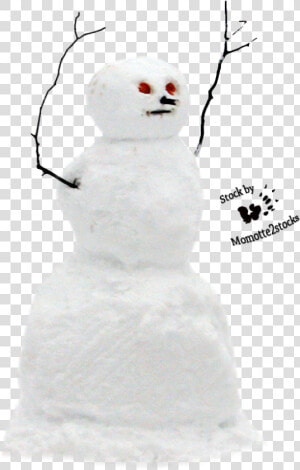 Real Snowman Transparent Background   Png Download   Snowman  Png Download