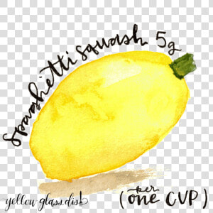 Watercolor Picture Of Spaghetti Squash Copyright Yellowglassdish   Meyer Lemon  HD Png Download