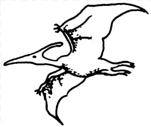 Pterodactyl Rubber Stamp Title Pterodactyl Rubber   Sketch  HD Png Download