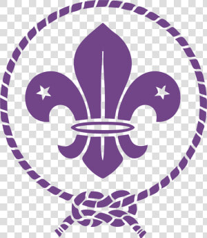 Boy Scouting Emblem Fleur De Lis For Of Boys Clipart  HD Png Download