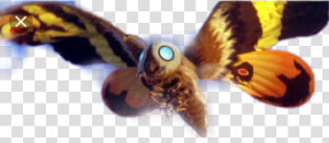 Godzilla Mothra   Png Download   Godzilla Monster Mothra  Transparent Png