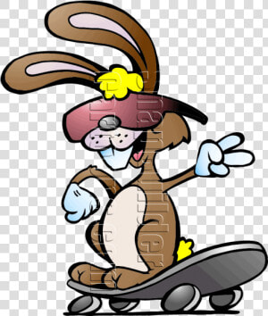 Rabbit Riding Skate Board   Rabbit On A Skateboard  HD Png Download