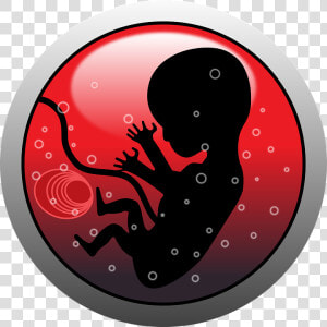 Embryo  Human  Infant  Pregnancy  Silhouette   Viviparity Meaning In Hindi  HD Png Download