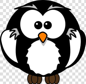 Black Owl Clipart Clip Art Freeuse Library Black Owl   Owl Bird Cartoon Drawing  HD Png Download