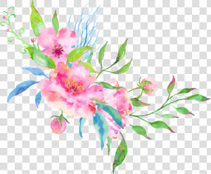 Transparent Flores Png Tumblr   Flores De Colores Png  Png Download