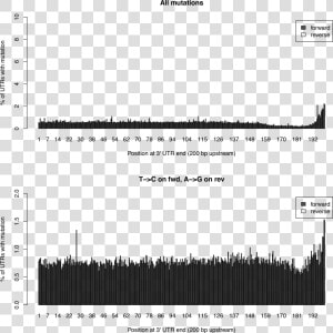 Images stats   Tcperutrpos  HD Png Download