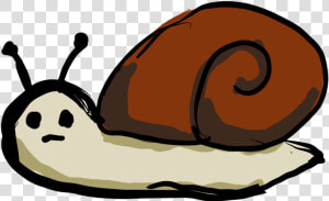 Snail Eating Algae Clipart   Png Download  Transparent Png