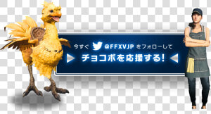 Chocobo Transparent Ffxv   Ffxv Chocobo Png  Png Download