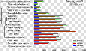 Stats V69  HD Png Download