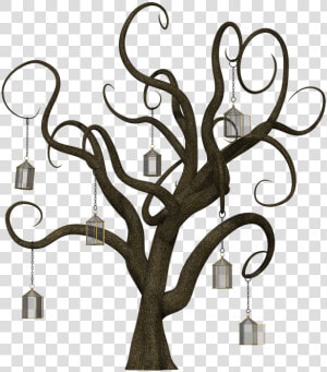 Arbol Cuentos   ต้นไม้ ที่ ไม่มี ใบ  HD Png Download