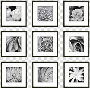 9 Frame Gallery Wall  HD Png Download