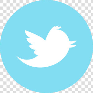 Twitter Logo For Youtube   Png Download   Social Media Icons Twitter  Transparent Png