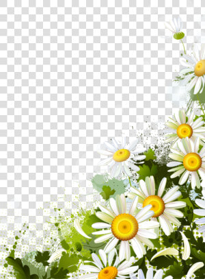 1 Kb  New   Imagenes Png De Flores Margaritas  Transparent Png