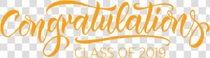 Congratulation Class Of 2019 Png  Transparent Png