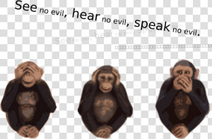 See No Evil Hear No Evil Speak No Evil Svg Clip Arts   See Nothing Hear Nothing  HD Png Download