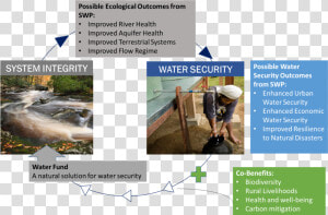 Ws ecosystemintegrity Mtime   Brochure  HD Png Download