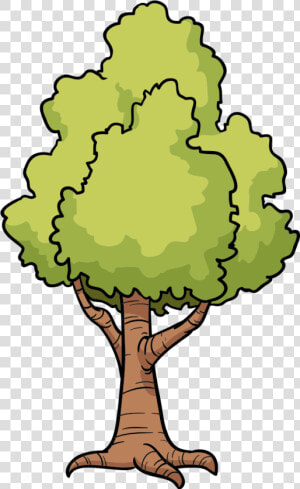 Cartoon Tree Drawing Clip Art   Drawing Cartoon Tree Trees  HD Png Download