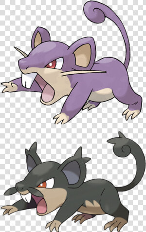 Pokédex Wiki   Pokemon Rattata  HD Png Download