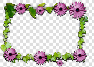 Floral Chrysanthemum Flowers Cut Design Png Download   African Daisy  Transparent Png