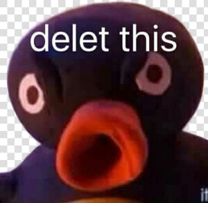  pingu  meme  delete  delet  deletthis  deletethis   Delete This Meme Png  Transparent Png