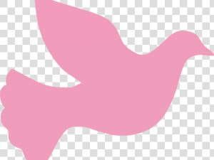 Peace Dove Clipart Vigil   Dove  HD Png Download