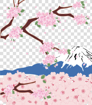 Mount Fuji Cherry Blossom Clipart   Cherry Blossom Png Transparent  Png Download