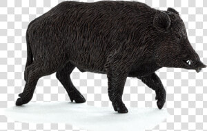 Wild Boar Png File   Wild Boar Boar Png  Transparent Png