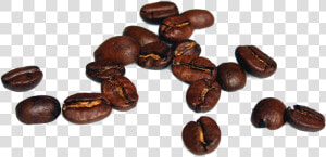 Coffee Beans Coffee Beans Free Photo   Coffee Bean High Resolution  HD Png Download