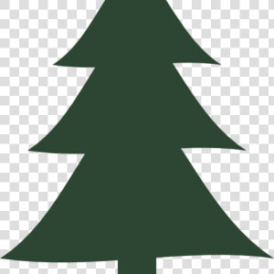 Transparent Pine Tree Vector Png   Trees Vector Pine Png  Png Download