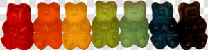 Gummy Bear Png   Gummy Bear  Transparent Png