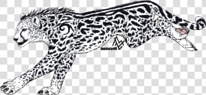 White Cheetah   Cheetah  HD Png Download