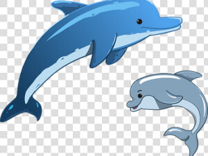 Flippers Clipart Whale Dolphin   Clipart Dolphin And Whale  HD Png Download