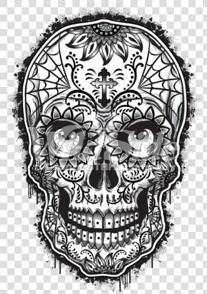 Drawing Detail Sugar Skull   Dia De Los Muertos Sugar Skull Drawing  HD Png Download