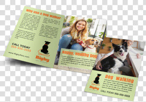 Green Dog Walking Bi fold Brochure Template Preview   Boston Terrier  HD Png Download