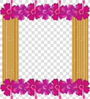 Hibiscus Frame  Bamboo Frame  Hawaiian  Tropical   Clip Art  HD Png Download