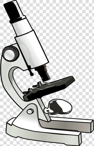 Free Microscope Cliparts  Download Free Clip Art  Free   Microscope Clipart  HD Png Download