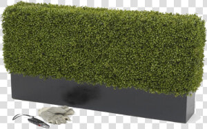 Artificial Premium Deluxe Hedge   Outdoor Artificial Plants Uk  HD Png Download