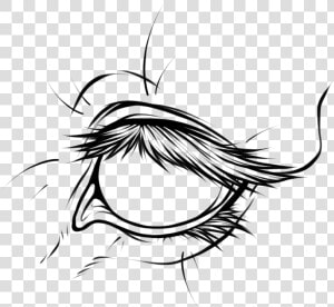 Hd Line Art Group Lineart   Horse Eye Line Drawing  HD Png Download