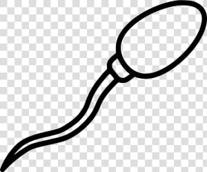 Sperm   Imagenes De Espermatozoides Para Dibujar  HD Png Download